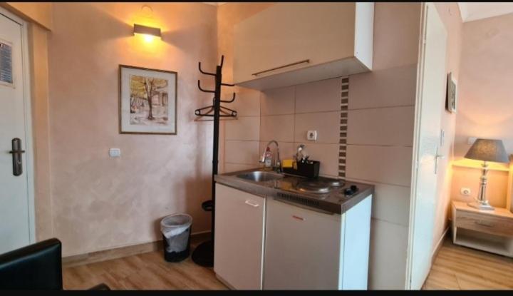 Visoki Stevan Apartments Belgrade Exterior photo